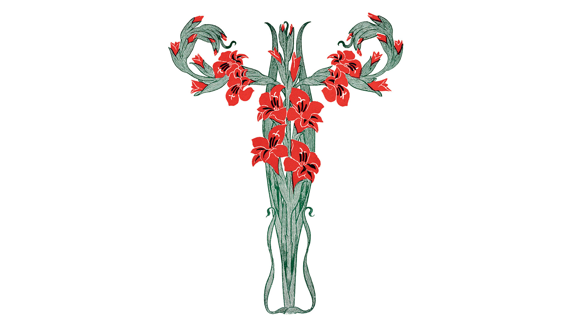 κ-γυναικεσ-η-άγνωστη-μήτρα-562561924