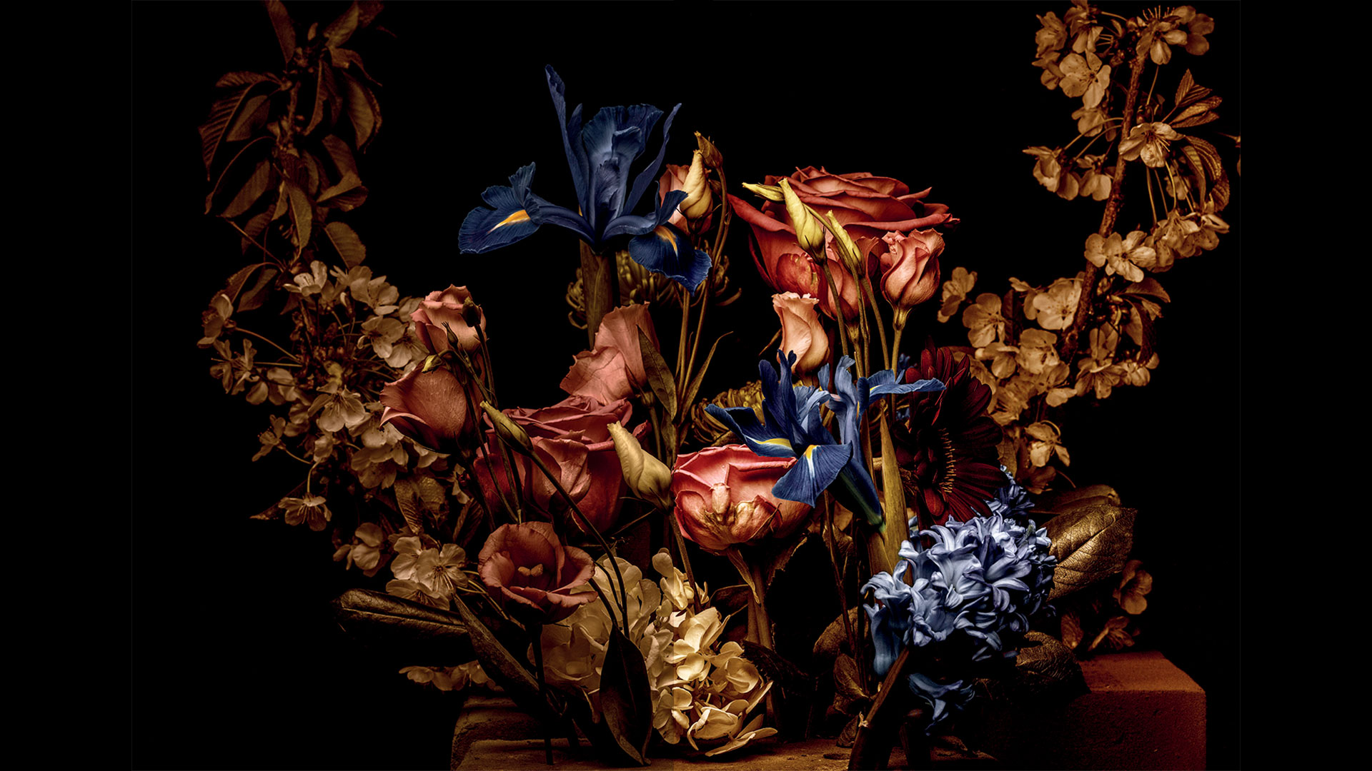 Πρόωρη ανεπάρκεια ωοθηκών: «Σαν να χάνεις έναν δικό σου άνθρωπο»-1