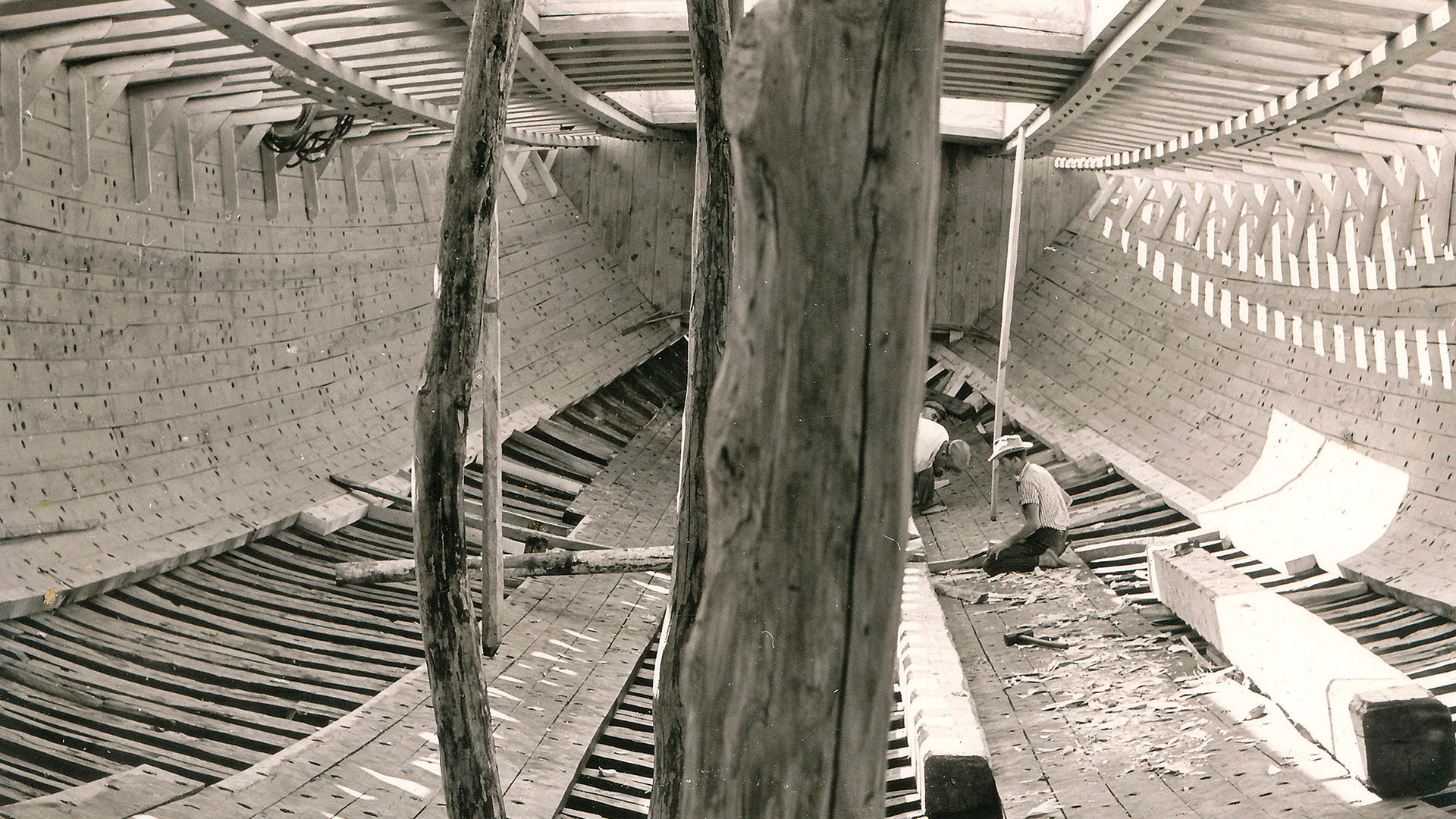 Δίκτυο Αρχιπέλαγος: Πού πάνε οι παραδόσεις όταν σβήνουν;-8