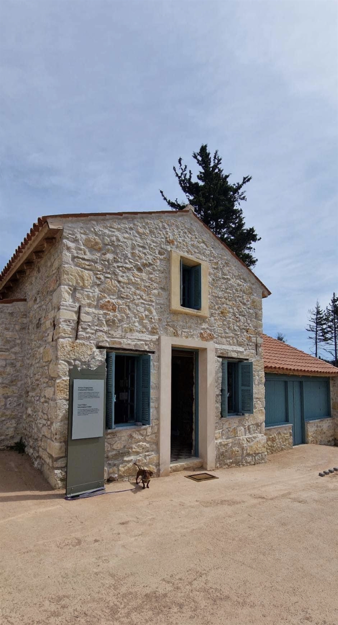 Δύο χρόνια μετά την πυρκαγιά του 2021, το Τατόι μπορεί να ελπίζει ξανά-1