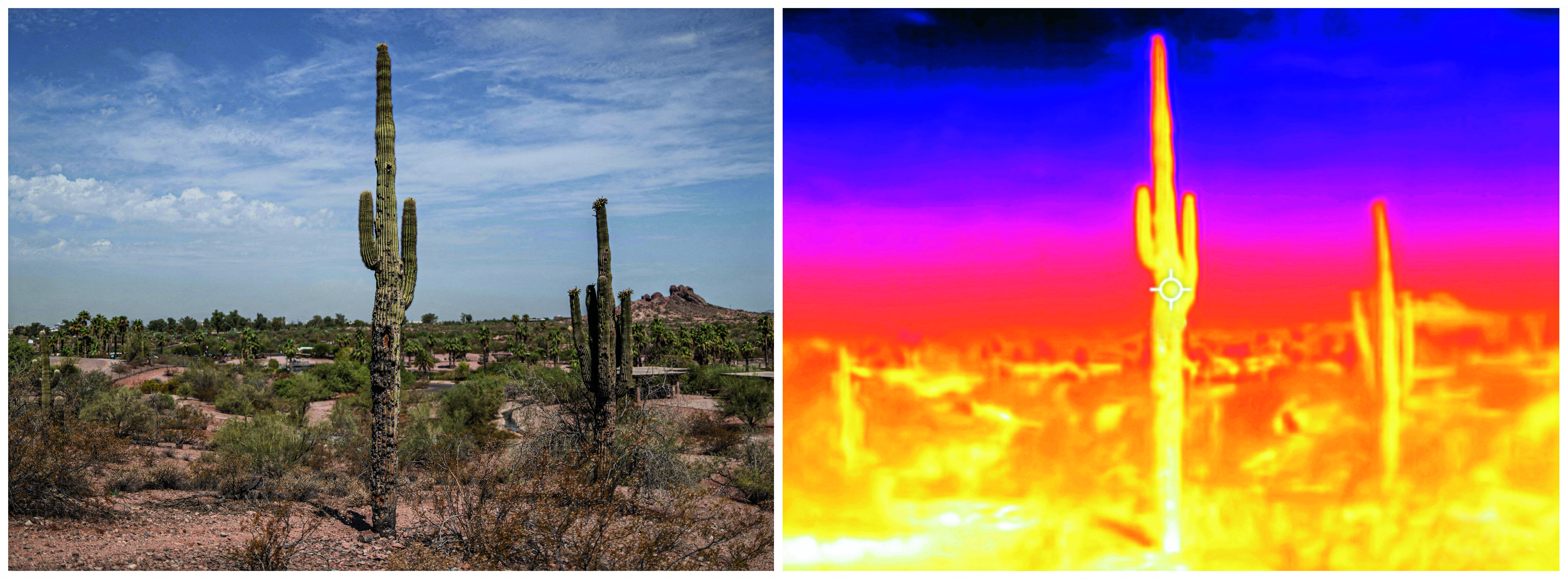 Ο πλανήτης φτάνει σε σημείο «βρασμού»-1