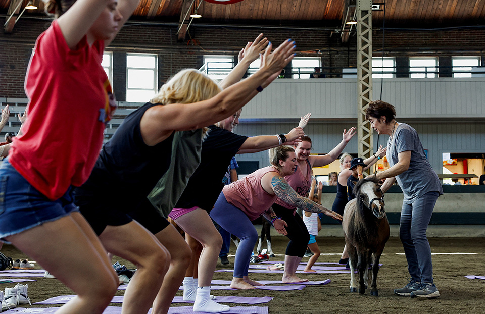 Ξημέρωμα με βεγγαλικά-3