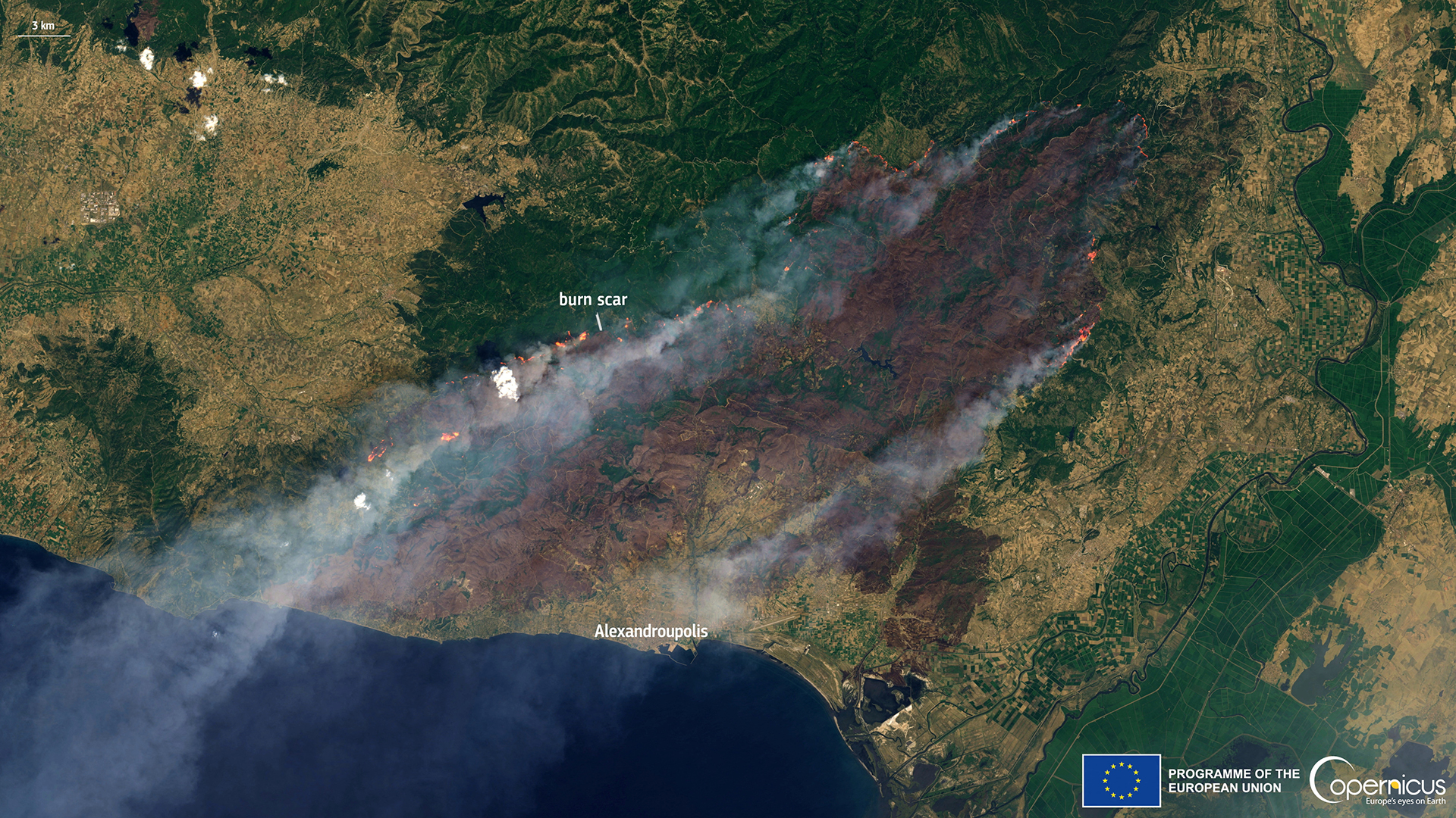 Δαδιά: Δεκαετίες για αναγέννηση του δασικού θησαυρού-1