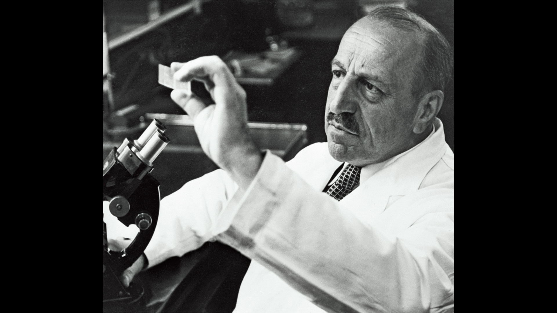 γεώργιος-ν-παπανικολάου-ο-κύριος-παπ-562582708