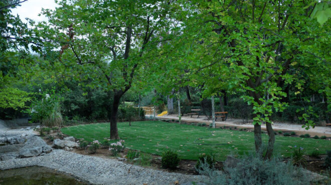 πεδίον-του-αρεως-3-700-νέα-δένδρα-και-φυτά-562552825