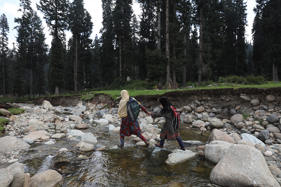 Πυροβολήστε τον βάτραχο-2