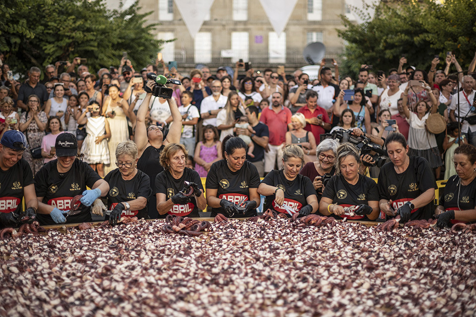 Πυροβολήστε τον βάτραχο-1