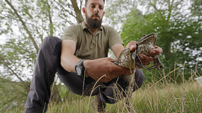 πυροβολήστε-τον-βάτραχο-562560760
