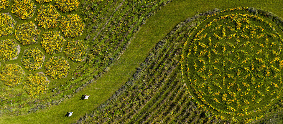 Ξημέρωμα με βεγγαλικά-2
