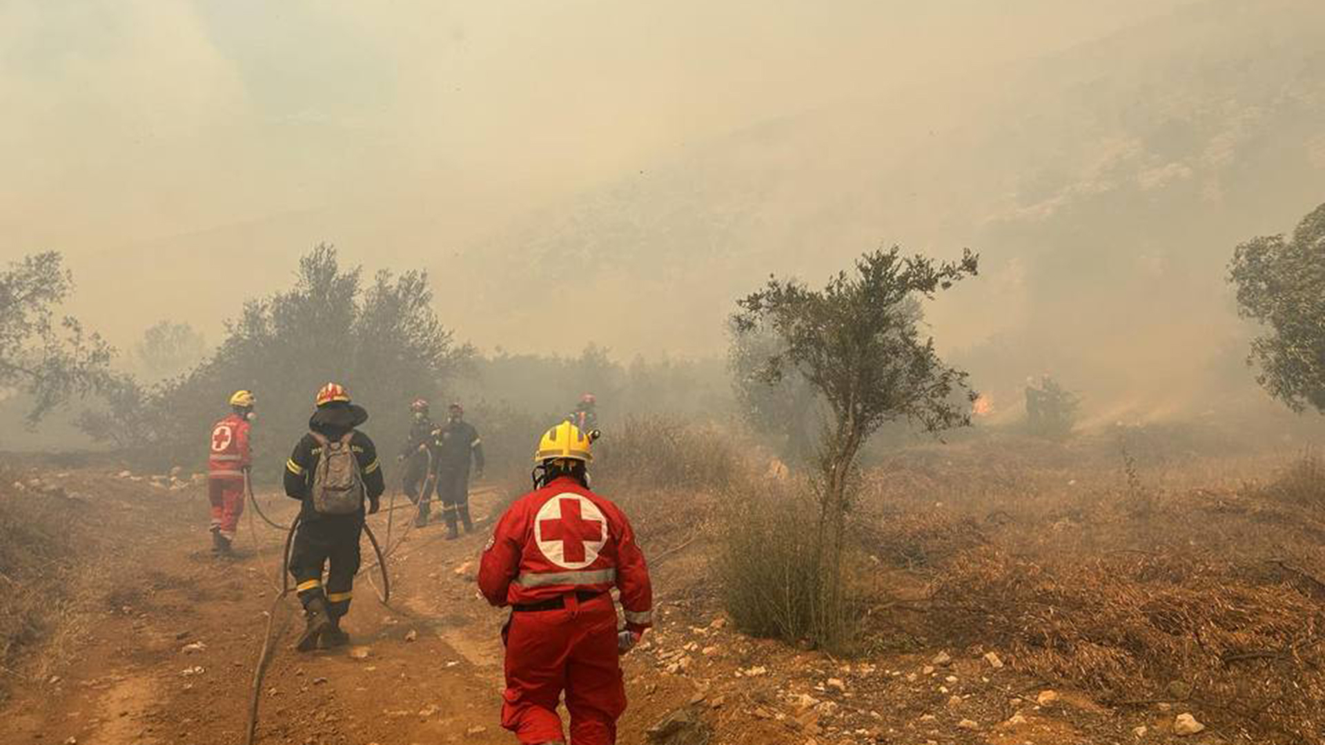 Το επίμονο μέτωπο της Βοιωτίας – «Αλίμονο μας αν φτάσει η φωτιά στα έλατα στον Ελικώνα»-1