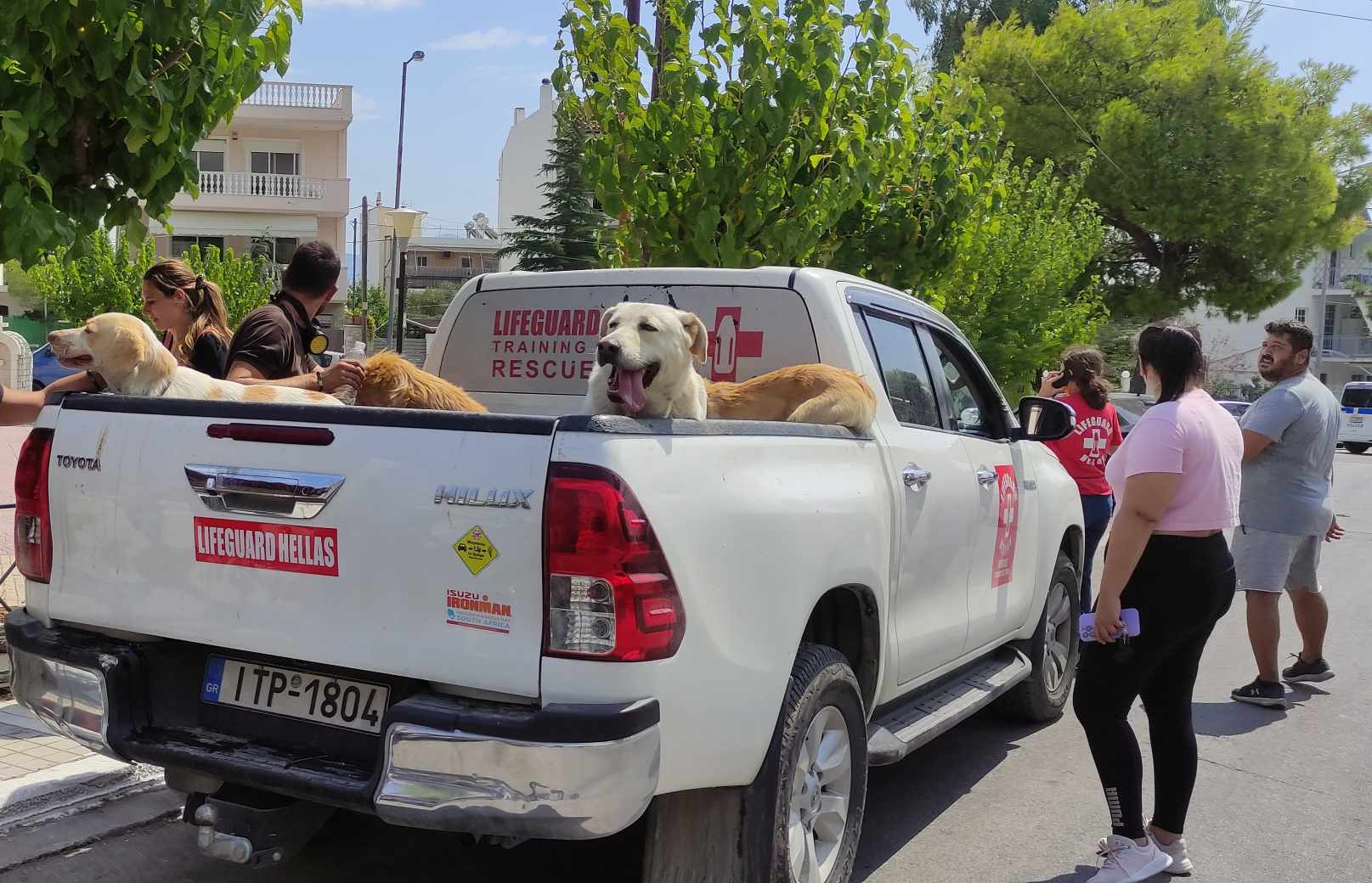Η άνιση μάχη των πολιτών με τις φλόγες από τα Ανω Λόσια μέχρι το Μενίδι-7