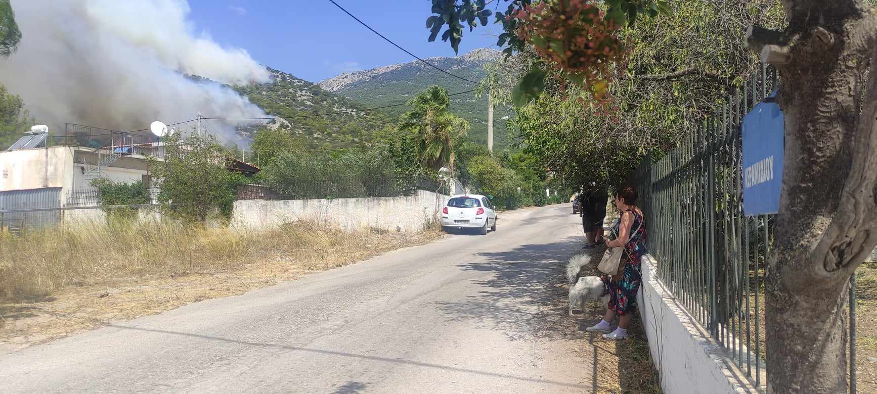 Η άνιση μάχη των πολιτών με τις φλόγες από τα Ανω Λόσια μέχρι το Μενίδι-6