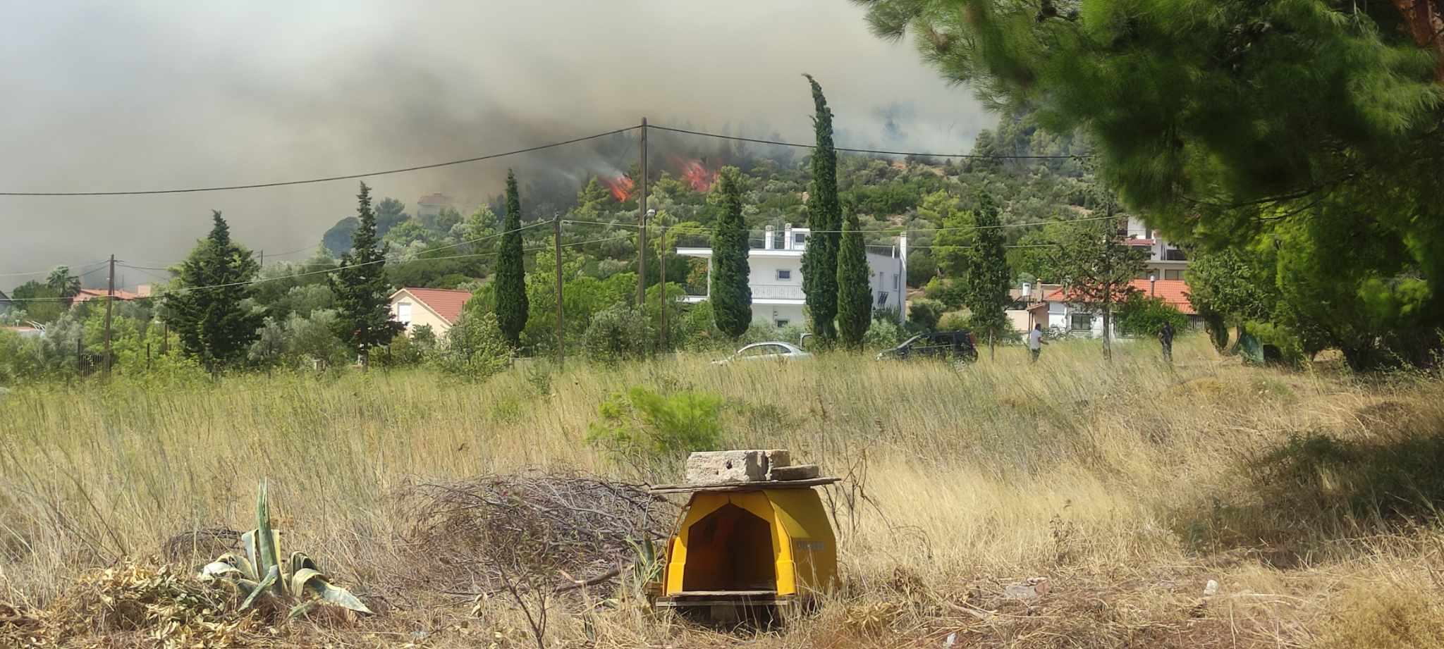 Η άνιση μάχη των πολιτών με τις φλόγες από τα Ανω Λόσια μέχρι το Μενίδι-4