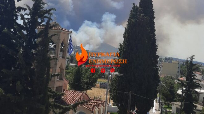 εύβοια-προς-βατώντα-το-μεγάλο-μέτωπο-τ-562575535