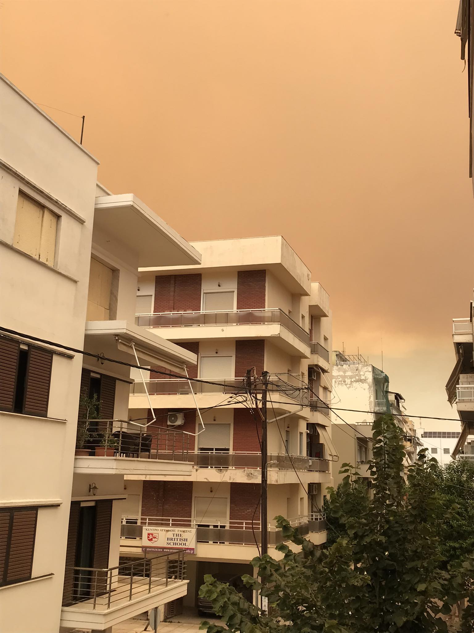 Αλεξανδρούπολη: «Η περιοχή ήταν “έτοιμη” για μια φωτιά με μεγάλη ένταση»-2