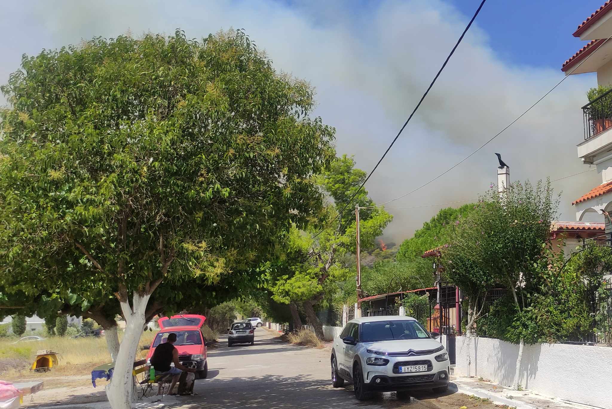 Η άνιση μάχη των πολιτών με τις φλόγες από τα Ανω Λόσια μέχρι το Μενίδι-5