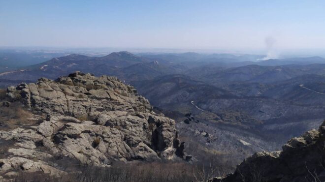 οι-εικόνες-της-καταστροφής-στη-δαδιά-562589509