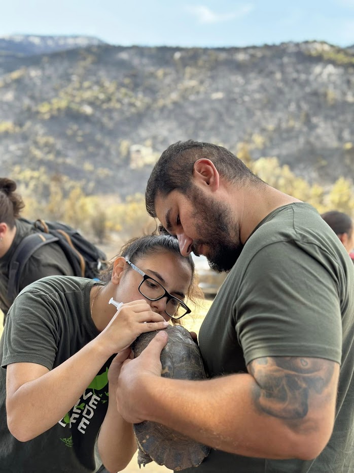 Iχνη ζωής μέσα στα καμένα-7