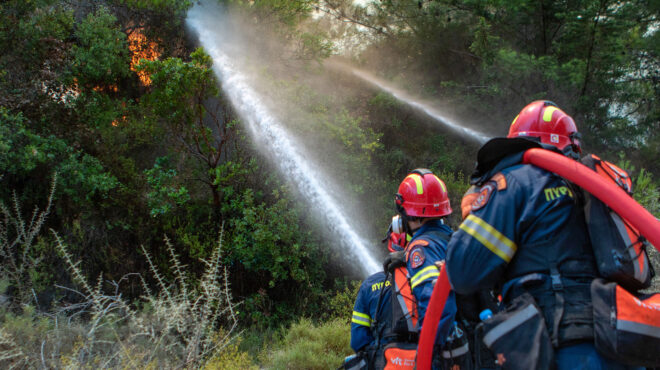 φωτιά-στην-αλεξανδρούπολη-ανησυχία-γ-562574695