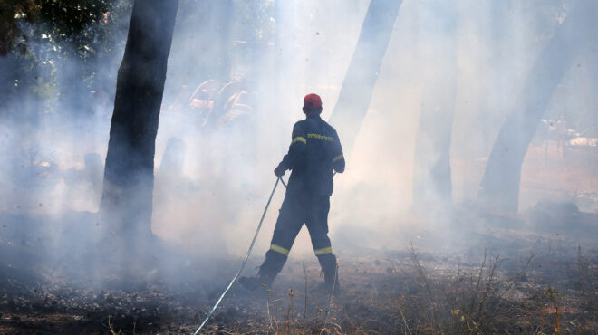 φωτιά-και-στην-ανω-δροσίνη-ροδόπης-σ-562575331