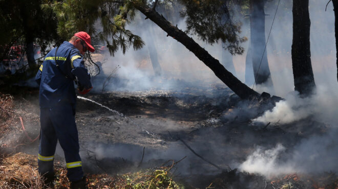 πυρκαγιά-στην-αρτα-562566649