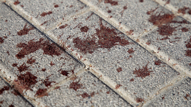 νέα-φιλαδέλφεια-η-επίθεση-των-χούλιγκ-562558519