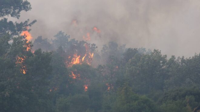 αλεξανδρούπολη-μπαράζ-μηνυμάτων-α-562574812