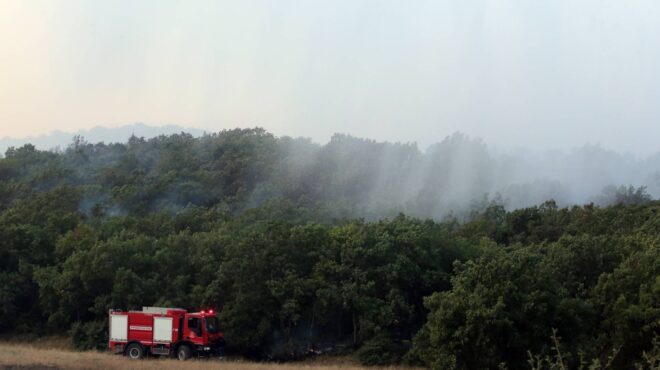 φωτιά-στην-αλεξανδρούπολη-νέα-διακοπ-562574785