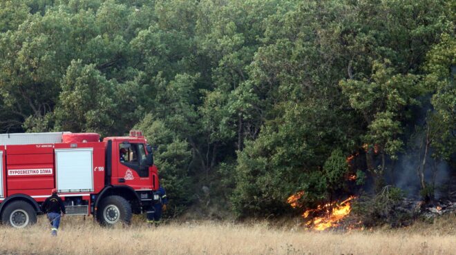 οικονόμου-οι-αστυνομικοί-στην-πρώτη-γ-562574740