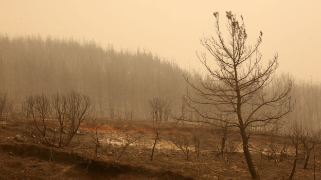 πυρκαγιές-τραγωδία-στον-αβαντα-εντ-562577215