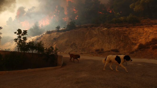 meteo-δυσμενείς-οι-συνθήκες-στη-φυλή-έως-το-562577425