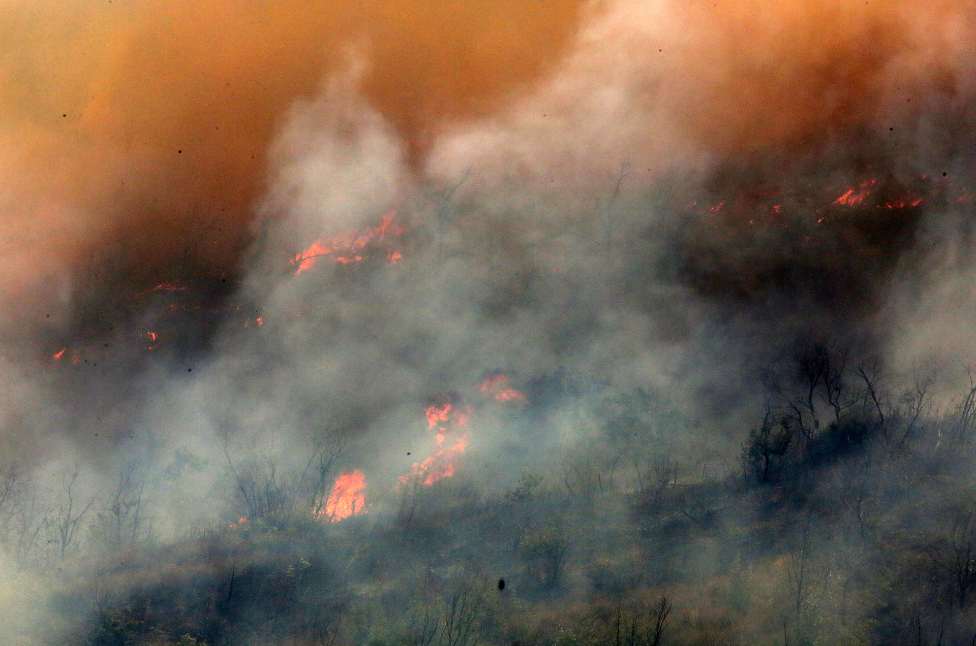 Οι φλόγες «καταπίνουν» ένα από τα τελευταία καταφύγια αρπακτικών πουλιών στην Ευρώπη-2