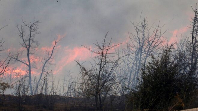 αλεξανδρούπολη-μαίνεται-η-φωτιά-112-γι-562579321
