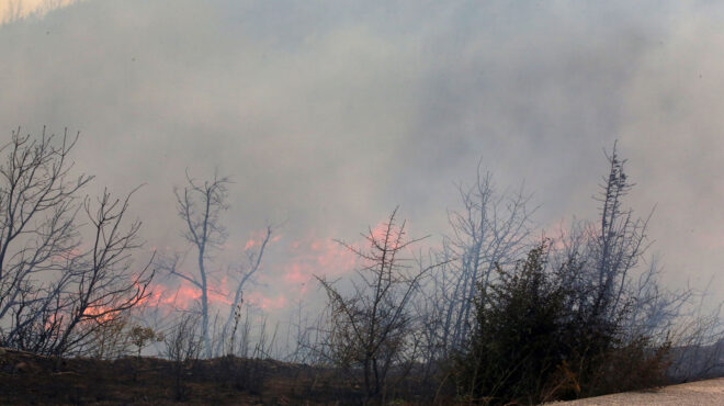 θεωρείο-sos-από-τον-εβρο-562591336