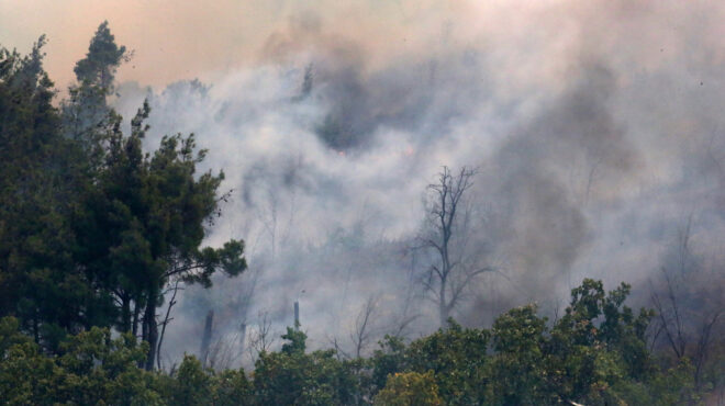 οτι-καταφέραμε-να-σώσουμε-πέρυσι-στη-562579855