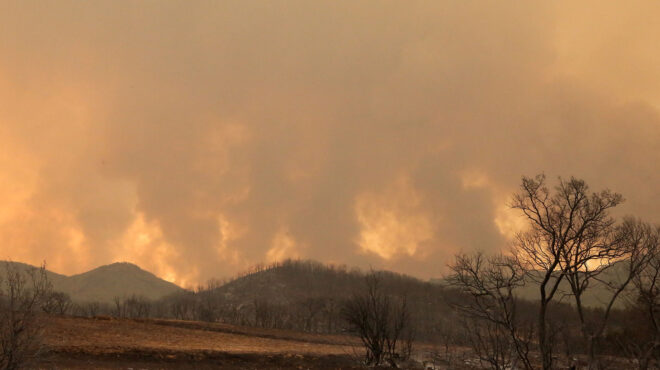 αλεξανδρούπολη-αναζωπυρώσεις-και-εκ-562585702