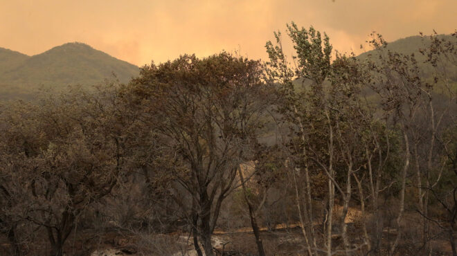 διεθνής-αμνηστία-οι-νεκροί-στον-εβρο-ε-562581616