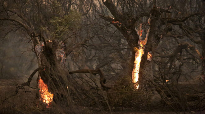 αναζωπυρώσεις-σε-εβρο-και-πάρνηθα-σ-562588579