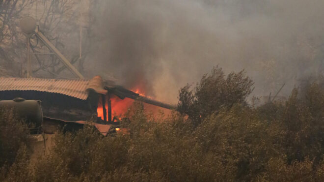 φωτιά-στον-εβρο-μάχη-σε-τέσσερα-μέτωπα-562578649