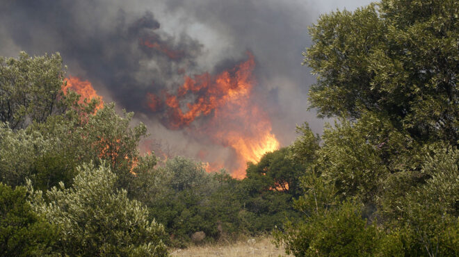 αναζωπύρωση-στην-πάρνηθα-ενεργό-μέτ-562583008