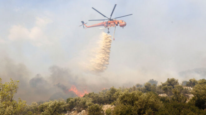 αναζωπυρώσεις-σε-εβρο-πάρνηθα-βοιωτί-562585441