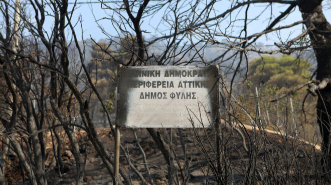 δήμος-φυλής-δωρεάν-το-νερό-για-3-μήνες-λ-562590397