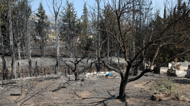 πυρκαγιές-ελεύθεροι-οι-τρεις-προσαχθ-562581334