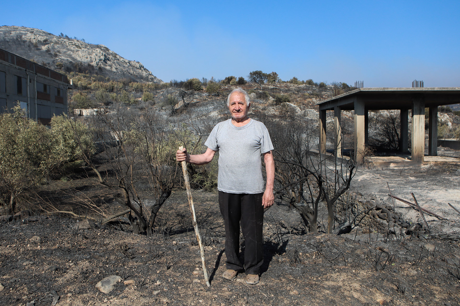 Οδοιπορικό της «Κ» στην Πάρνηθα: Πόνος για την καταστροφή αλλά και πίστη για μια νέα αρχή-4