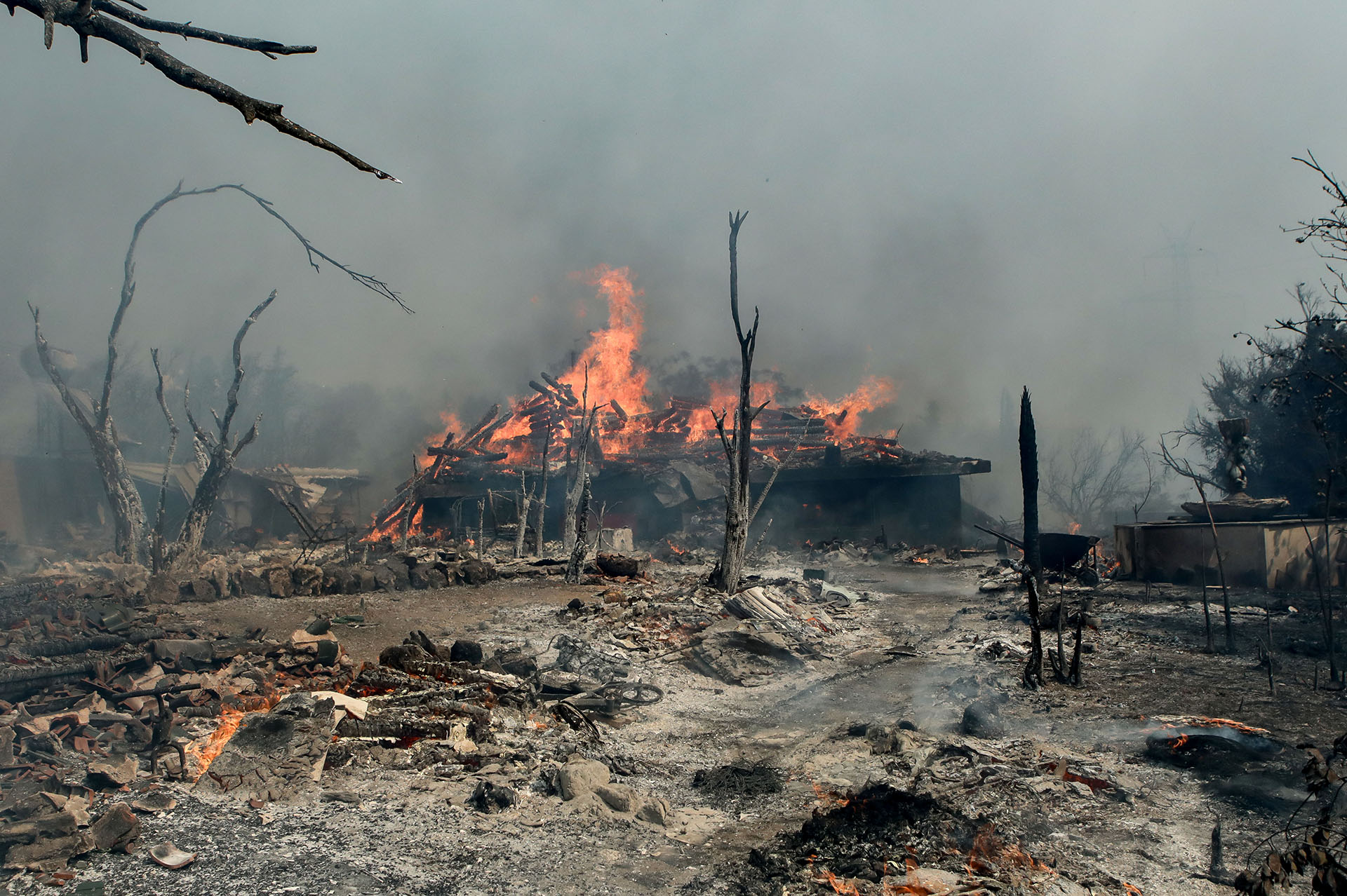Οδοιπορικό της «Κ» στην Πάρνηθα: Πόνος για την καταστροφή αλλά και πίστη για μια νέα αρχή-5
