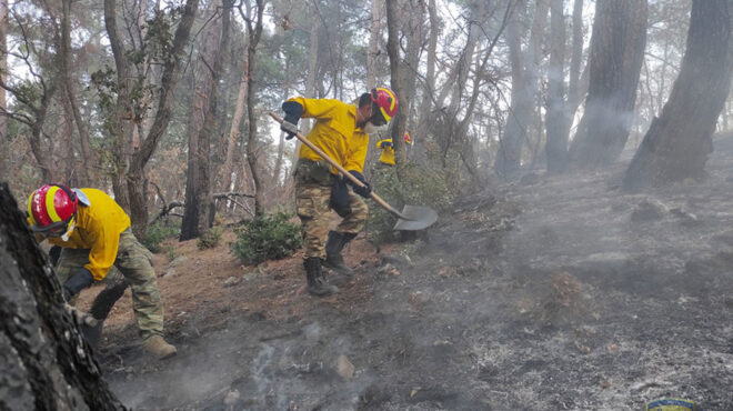 πυρκαγιές-η-συνδρομή-των-ενόπλων-δυνά-562585690