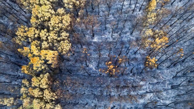 πυρκαγιά-στον-εβρο-νέα-δορυφορική-εικ-562587793