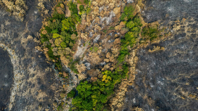 πυρκαγιές-μάχη-για-14η-νύχτα-στον-εβρο-562592374