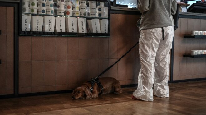 τελικά-πόσο-μεταδοτικό-είναι-το-χασμο-562588939