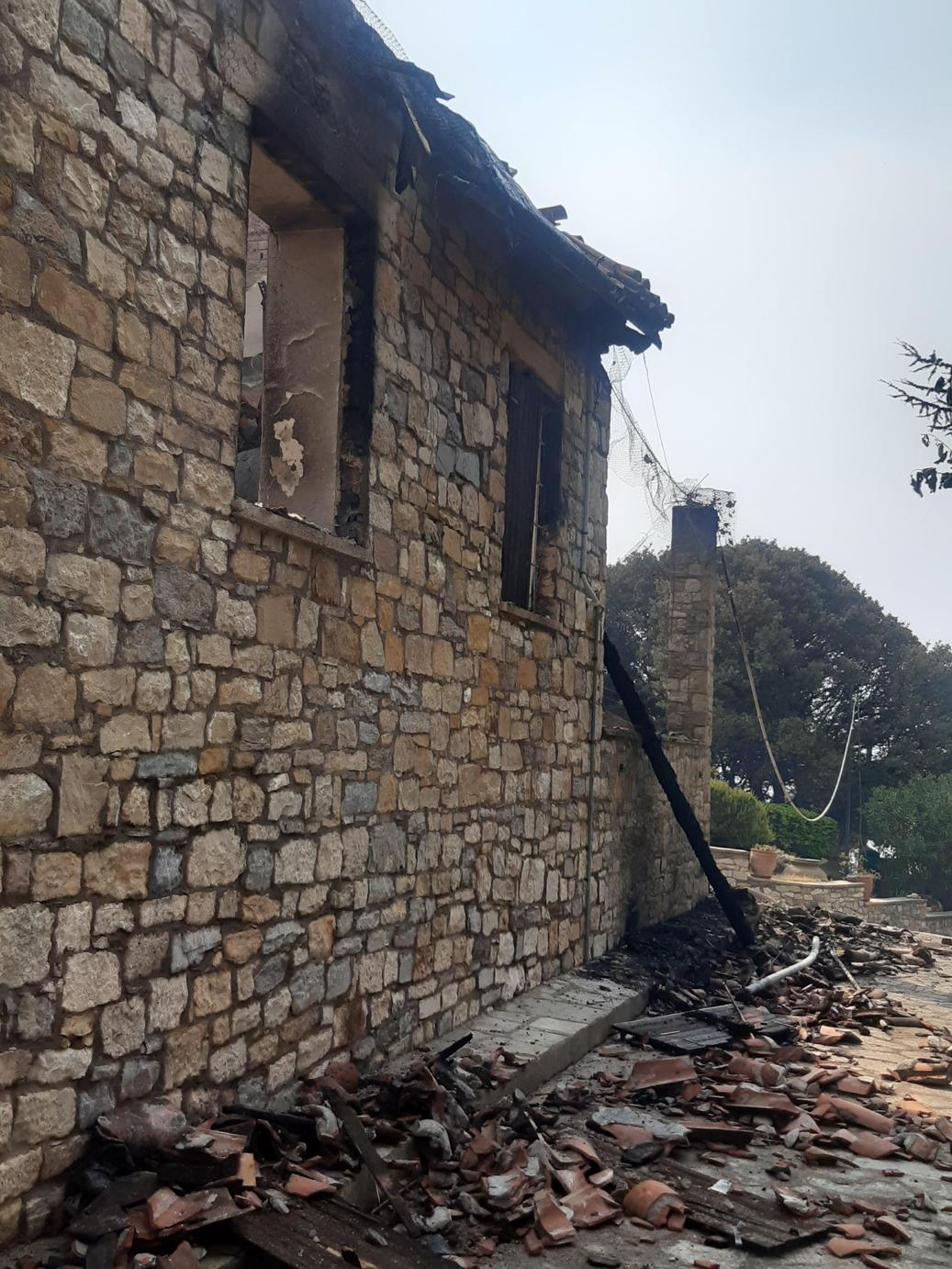 Βοιωτία: Πυρκαγιά απείλησε τη Μονή του Οσίου Λουκά-3